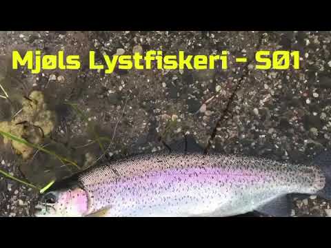 Put and Take – Tirsdag aften i Mjøls Lystfiskeri