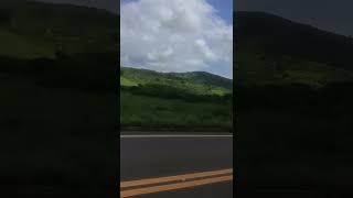 🚲🥴 #shorts #short