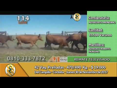 30-11-17 - Remate Televisado de Alfredo S  Mondino - Del Campillo, Córdoba