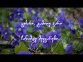 Nino Katamadze - Violets (iebi) +Lyrics 
