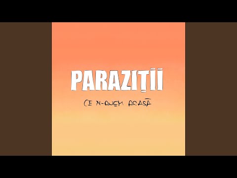 Video thumbnail for Ce n-avem acasă (Instrumental)
