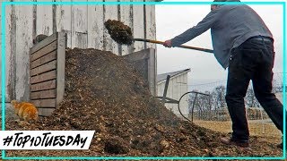 Getting More Chicken Eggs | Nominate the Best Garden Starting Videos