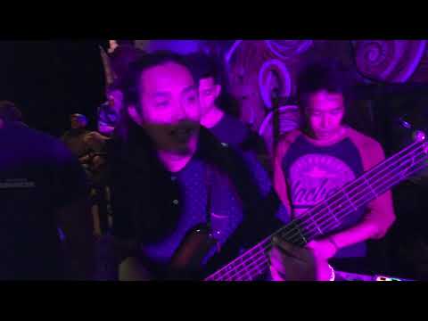 Bugs and Roots family - Kingston Town