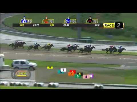 Southern Dragon - Nooresh Juglall (4 December)