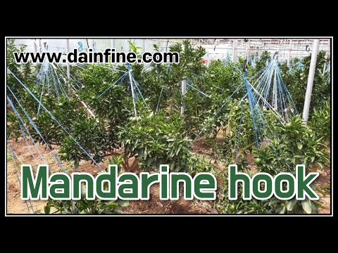 Dain Industry. Tangerine hook