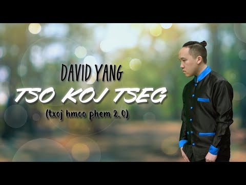 David Yang  - Tso Koj Tseg (Txoj Hmoo Phem 2.0)