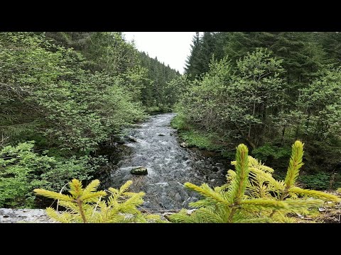 Maguri Racatau - Defileul Somesului Rece