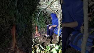 Download lagu peristirahatan di semak hutan mp3 Download lagu peristirahatan di semak hutan mp3