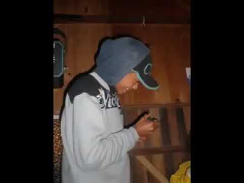 Mc Zoi De Gato (MEDLEY)