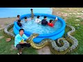 Living In Pool Challenge With Snake