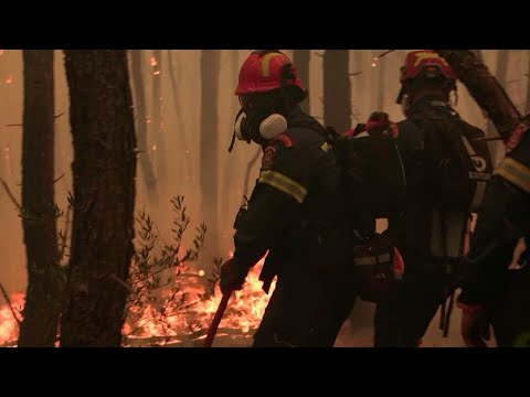 Video Thumbnail: Greek firefighters battle wildfire at popular coastal resort as winds rage | AFP