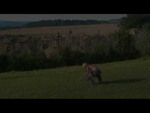 Tinny - Sampler 2009