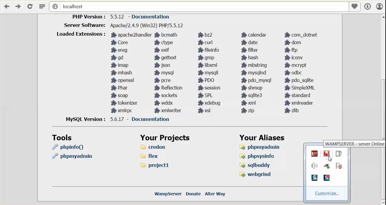 WAMP Server doesn't load localhost