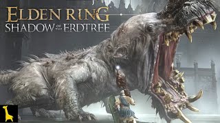 【エルデンリングDLC】#8 SHADOW OF THE ERDTREE 足場があると思って走ってたら足場がなかった 黄金カバ 古竜人 キザ山の飛竜 ELDEN LING 字幕実況