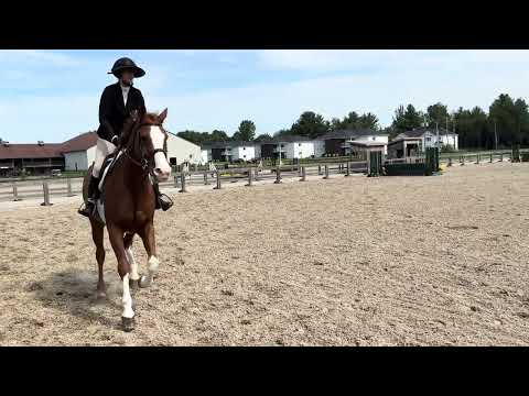Günther 17 video 2