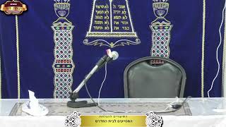 בית המדרש "תורת דוד" ¤ שידור חי ¤ ט"ז אב תשפ"ה (10.8.2024) (מוסדות תורת דוד) - התמונה מוצגת ישירות מתוך אתר האינטרנט יוטיוב. זכויות היוצרים בתמונה שייכות ליוצרה. קישור קרדיט למקור התוכן נמצא בתוך דף הסרטון