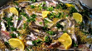 Fırında Hamsi Buğulama