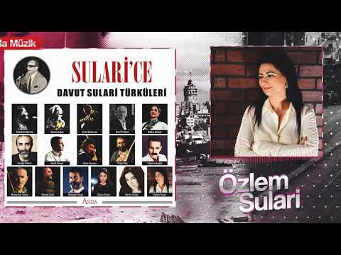 Video Yükleniyor...
