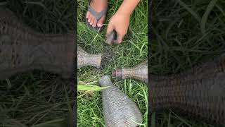 Download lagu DAPAT BANYAK BELUT SAWAH DALAM JEBAKAN!!! #belut #jebakanbelut #mancing mp3