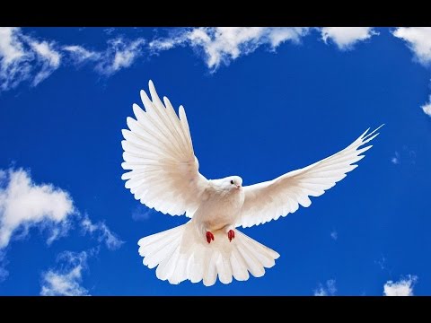 Piedici în calea lucrării Duhului Sfânt