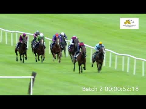 ITM Barrier Trials 03 September 2019 - Batch 02