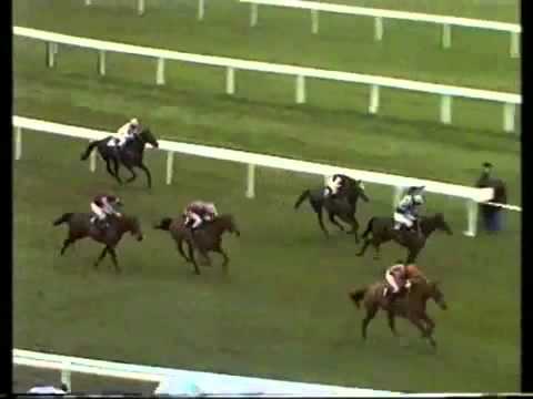 Beech Road- The 1989 Champion Hurdle (Cheltenham)