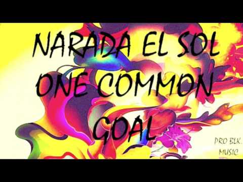 N.E.S - ONE COMMON GOAL