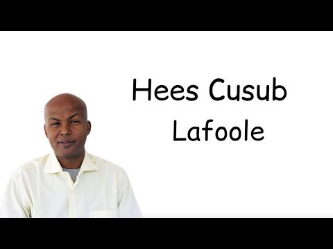 LAFOOLE | ADUUNKOO DHAN | VIDEO MUSIC LYRICS