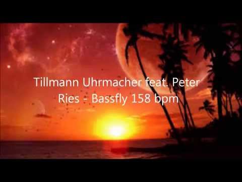 Tillmann Uhrmacher feat. Peter Ries - Bassfly 158bpm