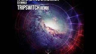 Radioactive Sandwich - Ex Nihilo (Tripswitch Remix)