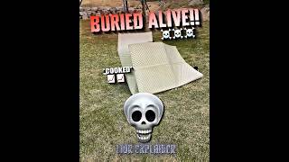 Picnic gone WRONG..!☠️