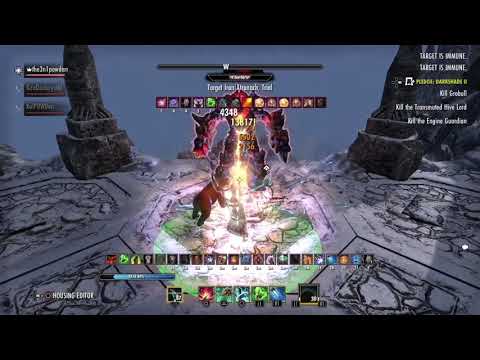 ESO - Magicka Warden - DPS Test - 65k