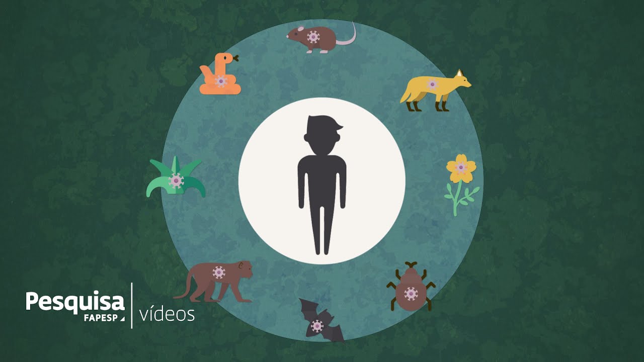 How does deforestation relate to new pandemics?