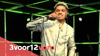 Abel van Gijlswijk video