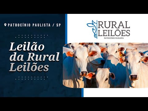 ✅📌 Leilão Virtual e Presencial Rural Leilões - Patrocínio Paulista/SP