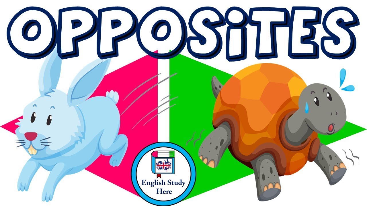 90 Opposite Words in English | Opposites Words in English | Opposites for Kids