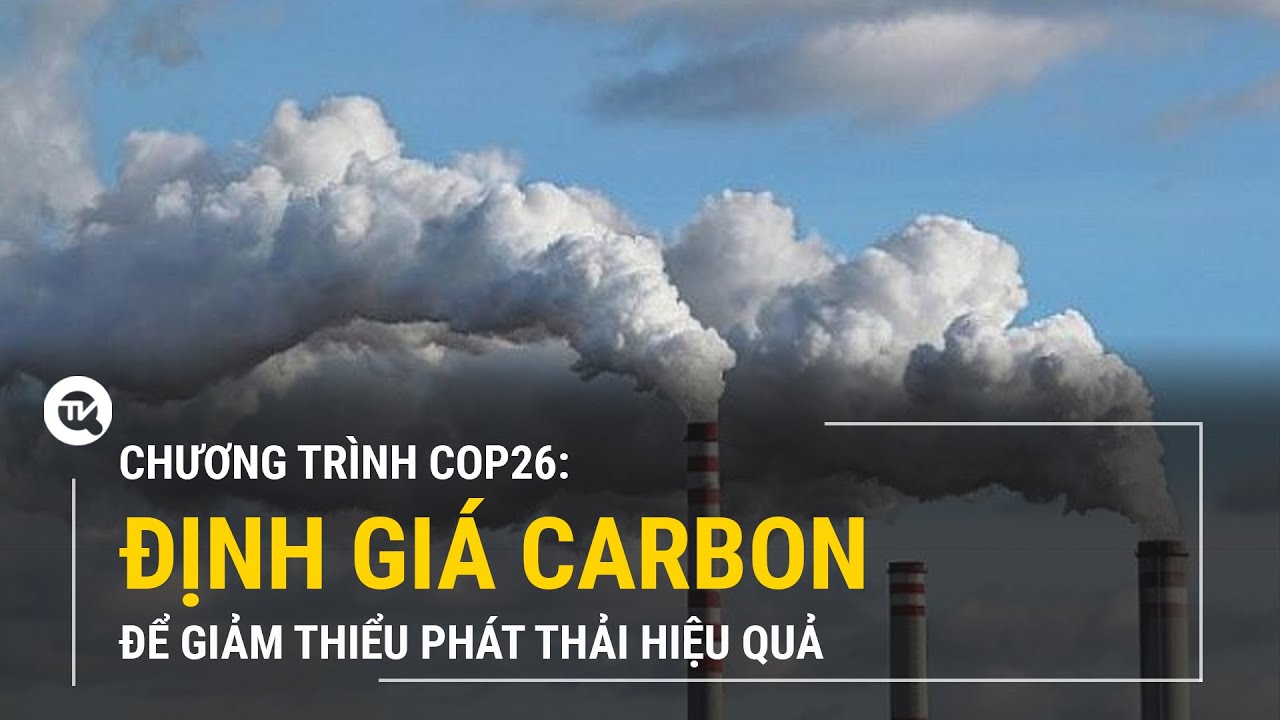 Định giá carbon để giảm thiểu phát thải hiệu quả | Truyền hình Quốc Hội Việt Nam