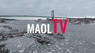 Småbåtshamn med Älvsborgsbron i bakgrunden