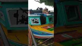 Download lagu Berangkat kembali ke habitat sungai baung #shorts #sungai mp3 Download lagu Berangkat kembali ke habitat sungai baung #shorts #sungai mp3