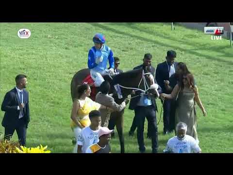 Hippisme : Suivez en direct la 7e course de la 16ème journée de course au Champ de Mars.