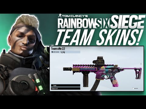 NEW Upcoming 2022 Pro Team Weapon Skins! - Rainbow Six Siege Operation Vector Glare