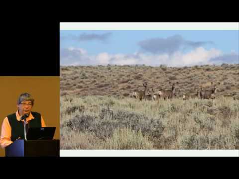 Understanding Climate Adaptation Strategies