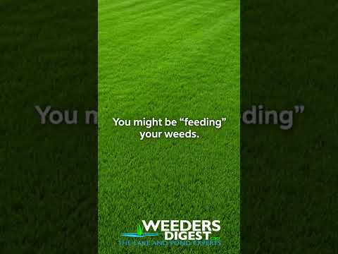 Why your neighbor’s beach is CLEAN (and yours isn't) 🏖️ #Shorts #LakeLife #AquaticPlants