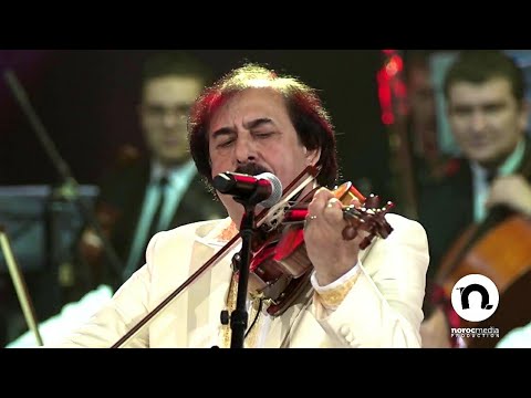 Orchestra LAUTARII instrumentala #potcoavadeaur