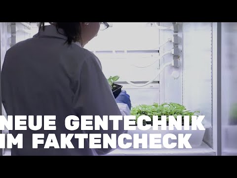 FAKTENCHECK: Was bringt Neue Gentechnik in der Landwirtschaft?