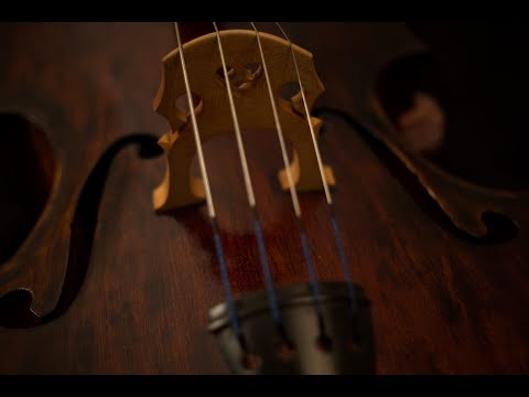 Apocalyptica - Life Burns (Feat. Lauri Ylönen) #apocalyptica #lifeburns #finnishmusic