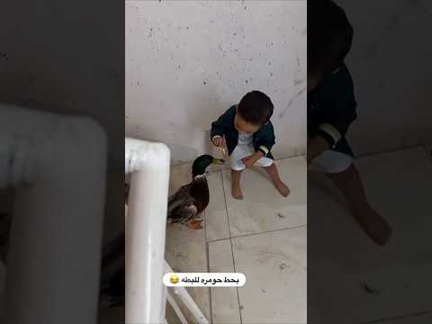 شوفو فيصل شو عمل بالبطه وبالكلب 😂💔