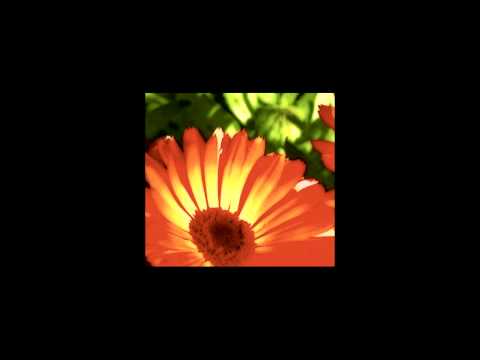 Robo Grigorov - Chcem ťa nájsť