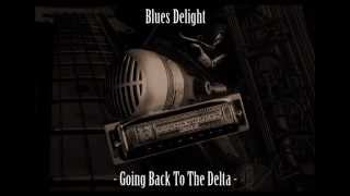 Blues Delight  - Going Back To The Delta