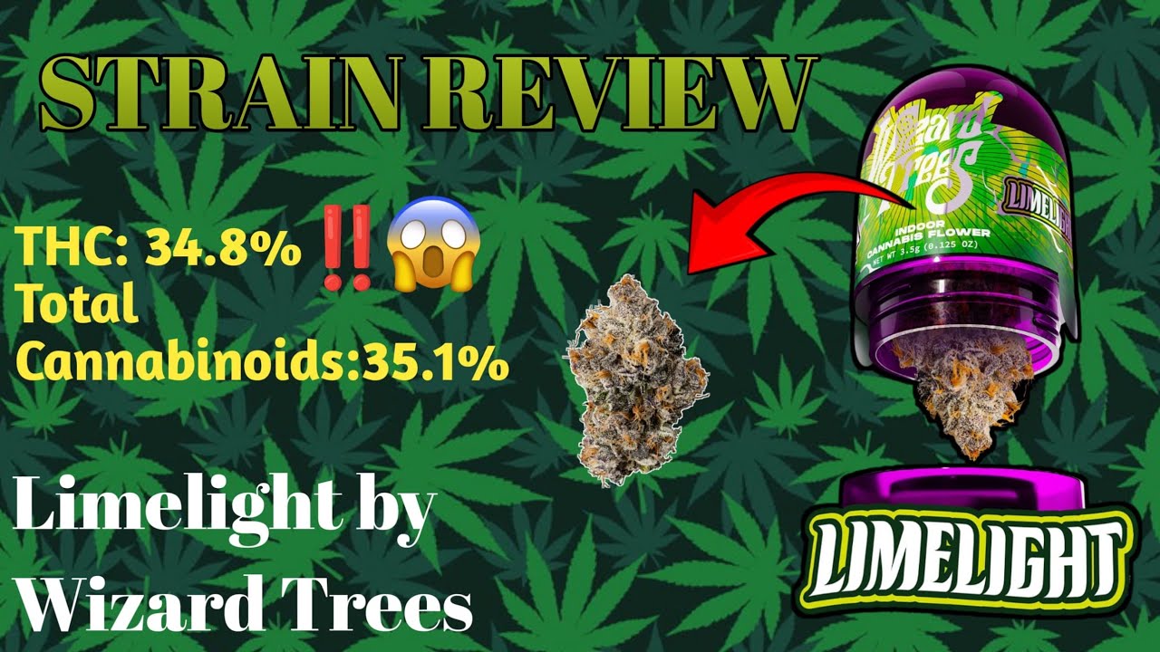 34.8% THC! Limelight by Wizard Trees - Strain Review